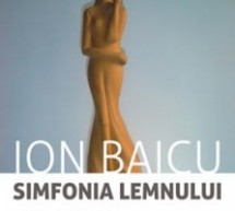 Sibiu: „Simfonia lemnului”, expoziţie retrospectivă dedicată artistului Ion Baicu (5-31 august)