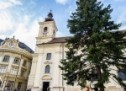 Sibiu: Bradul de Crăciun a sosit în Piaţa Mare