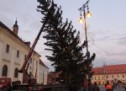 Bradul de Crăciun a ajuns în Piața Mare din Sibiu