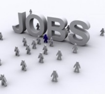355 locuri de muncă, disponibile în Sibiu