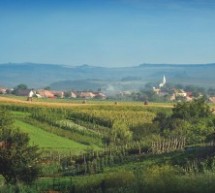 15 primării din județul Sibiu vor beneficia de Registru Agricol Electronic şi impozite şi taxe