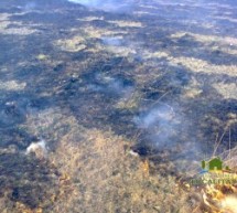 Două incendii de vegetație uscată produse ieri în județul Sibiu