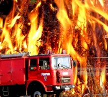Pompierii s-au luptat timp de patru ore cu focul în localitatea Noiștat