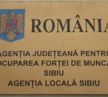 187 de persoane angajate prin intermediul AJOFM Sibiu în luna ianuarie
