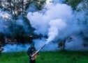 O nouă acțiune de dezinsecție împotriva țânțarilor pe domeniul public al municipiului Sibiu