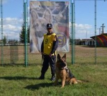 Câinele de căutare-salvare Leban, din cadrul ISU Sibiu, clasat pe primul loc la camionatul de dresaj al MAI