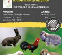 Expoziție de păsări de curte și iepuri de rasă în Sibiu