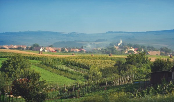 15 primării din județul Sibiu vor beneficia de Registru Agricol Electronic şi impozite şi taxe