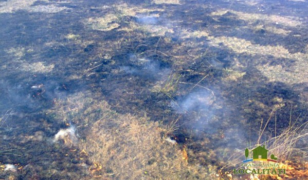 Două incendii de vegetație uscată produse ieri în județul Sibiu