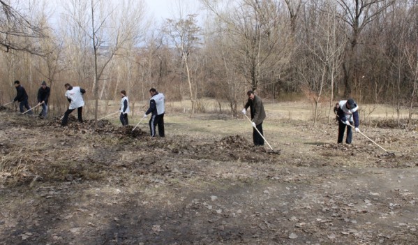 “Curățenia de toamnă” în municipiul Mediaș