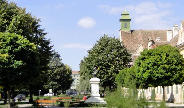 Sibiu; 150 de arbori pregătiți de plantare în primăvară