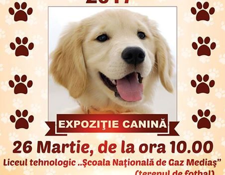 Municipiului Mediaş găzduiește expoziţia canină ,,Expo Canis Mediensis”