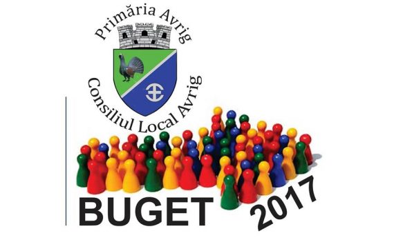 Bugetul Avrigului pentru 2017, în dezbatere publică