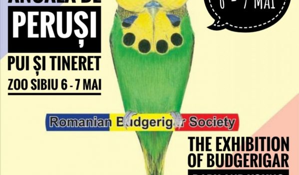 Expoziție de păsări exotice, la Zoo Sibiu